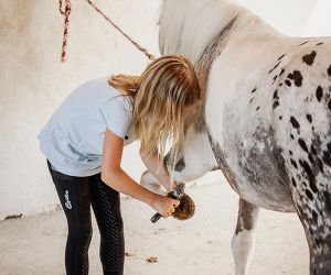 michaelaraningeranikapferdunbenanntefotosession036