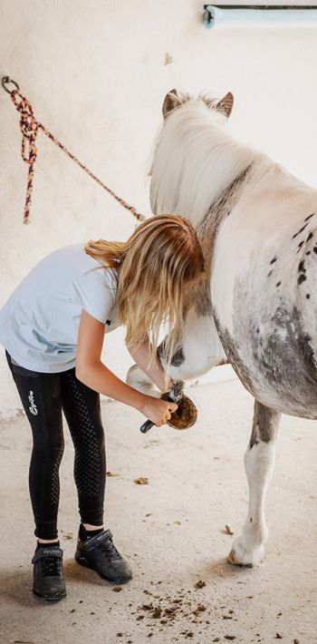 michaelaraningeranikapferdunbenanntefotosession036
