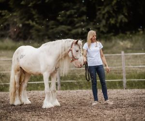 michaelaraningeranikapferdunbenanntefotosession106